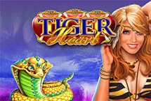 RTP Playngo idagent138